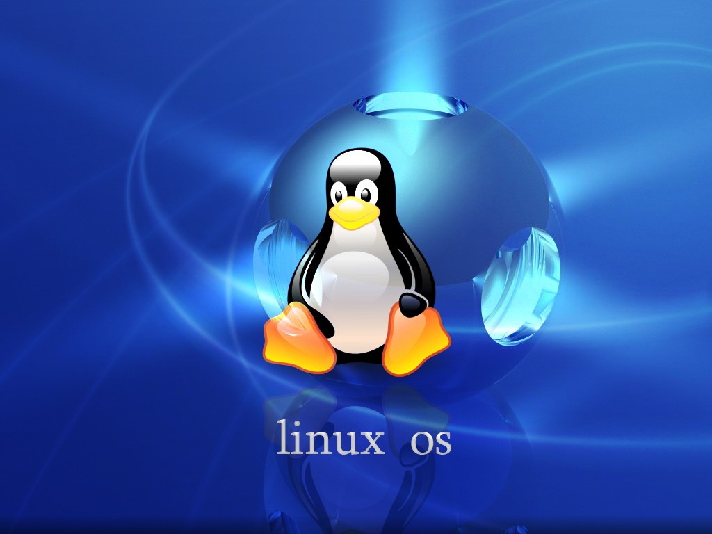 câu lệnh trên Linux thường được sử dụng